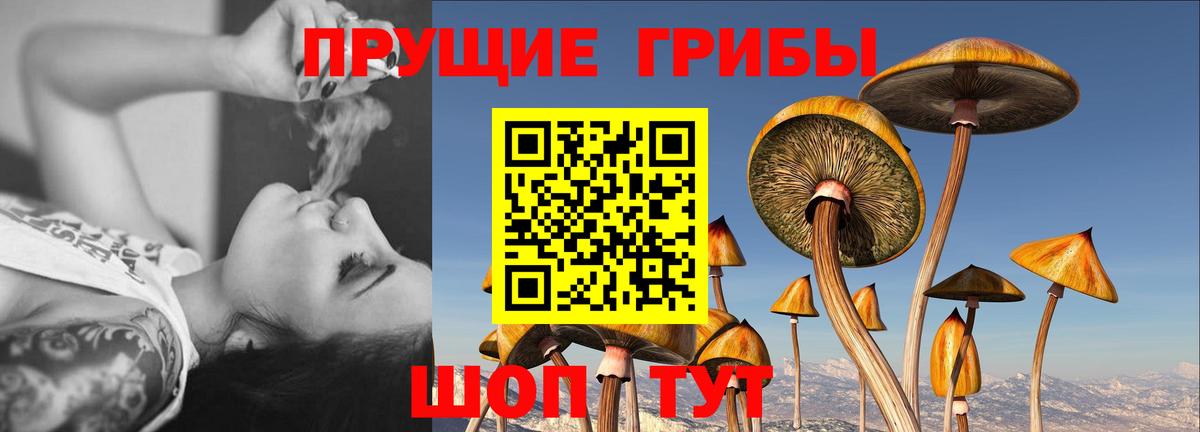 Псилоцибиновые грибы GOLDEN TEACHER  Вход с VPN  Галлюциногенные грибы мицелий  Алушта 