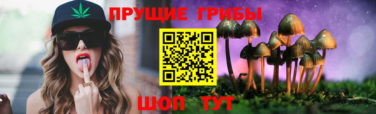 Галлюциногенные грибы Psilocybine cubensis Алушта